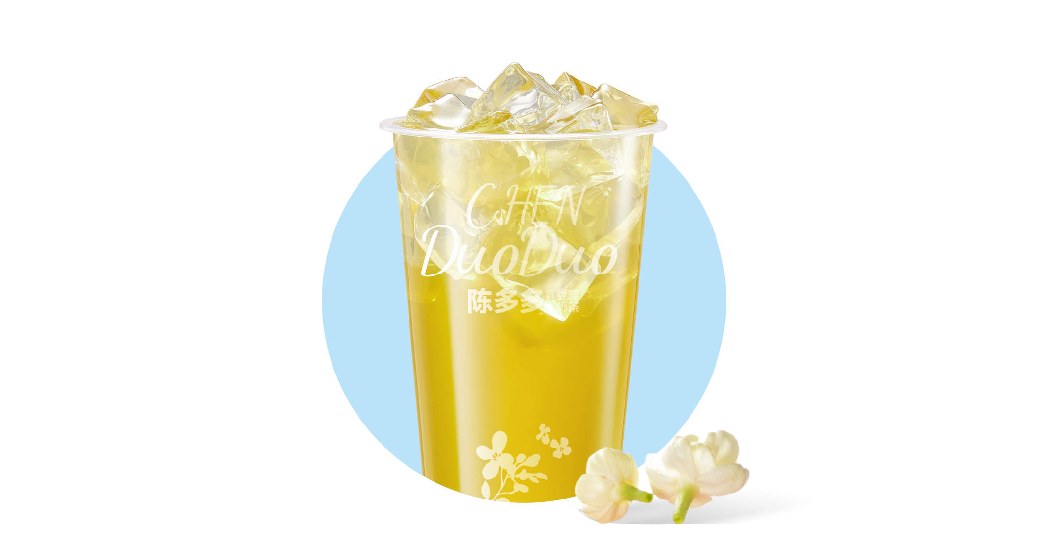 茉莉小白芽